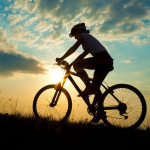 ΕΝΟΙΚΙΑΣΗ ΠΟΔΗΛΑΤΟΥ Mountain Bike