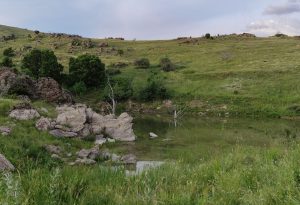 IMG_20230607_190916