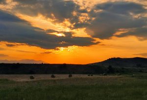 IMG_20240608_202620
